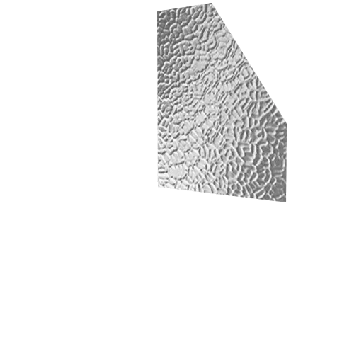 arctic-1