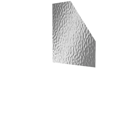 minister